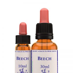 Beech